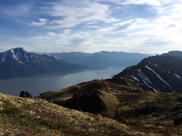 Looking back the ridge toward Turnagain Arm. Photo by K. Strong.